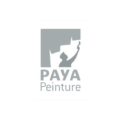 Paya Peinture